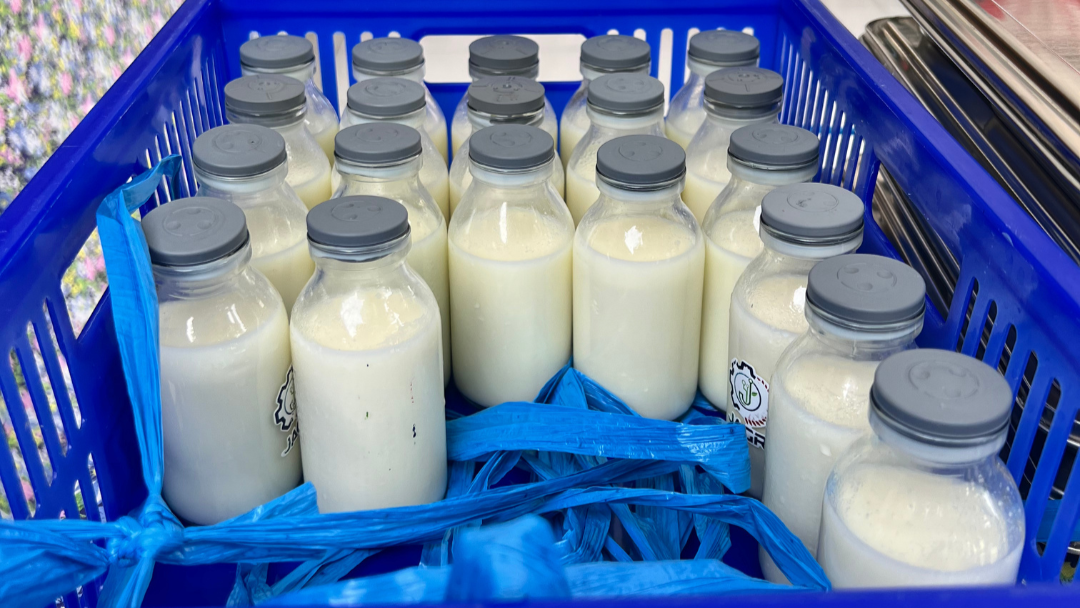 Penjelasan BGN Mukomuko Soal Manfaat Susu Sebagai Pelengkap Gizi Anak